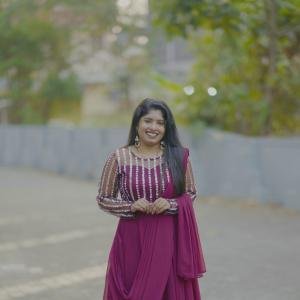 Partywear Saree Gown