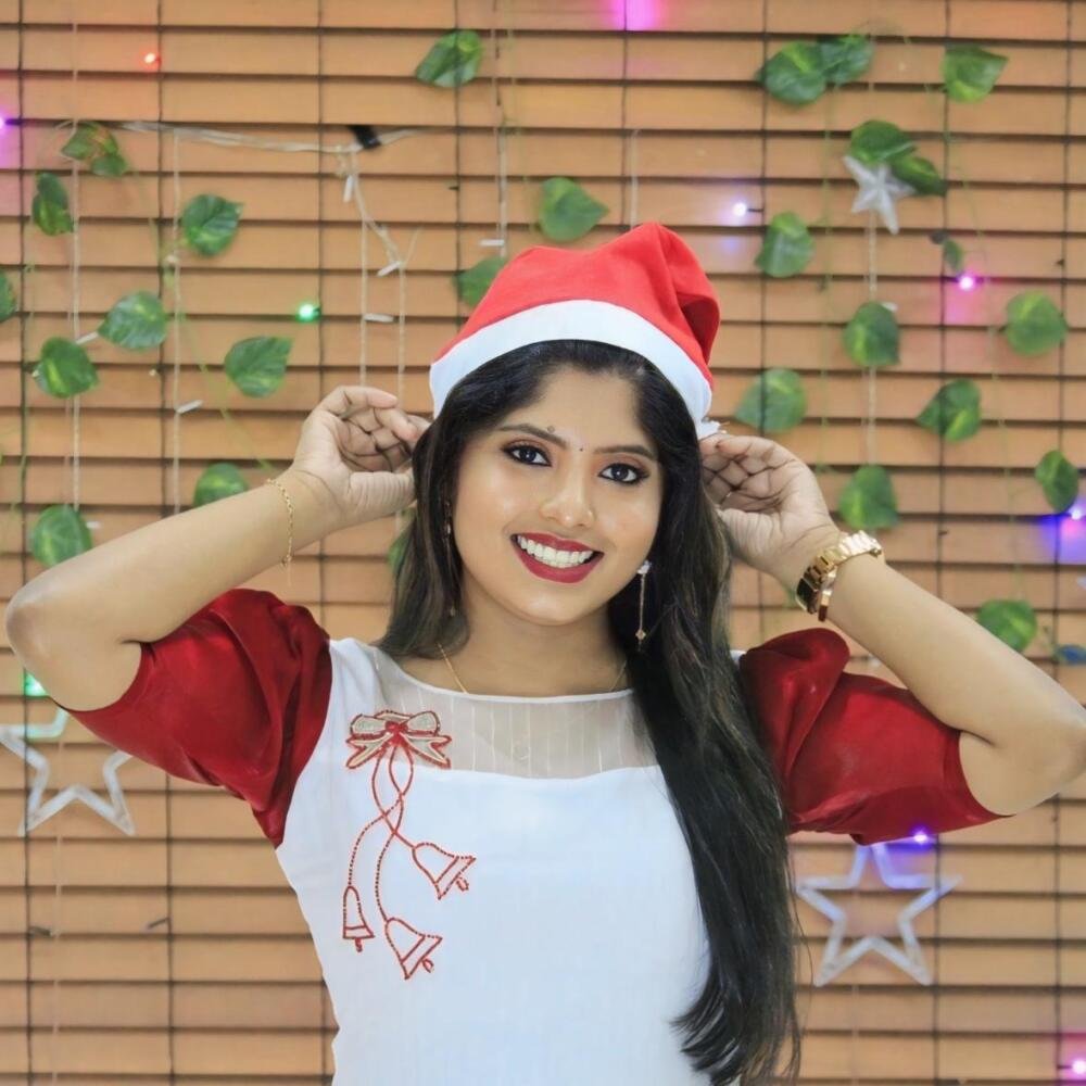 Christmas special organza